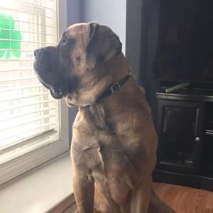 Meet your Posher, Jaime